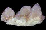 Cactus Quartz (Amethyst) Crystal Cluster - South Africa #132507-1